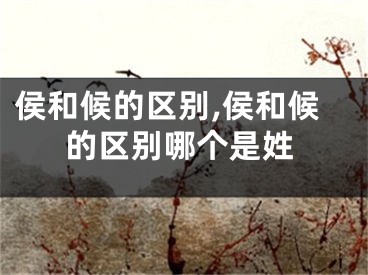 侯和候的区别,侯和候的区别哪个是姓
