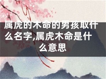 属虎的木命的男孩取什么名字,属虎木命是什么意思