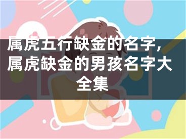 属虎五行缺金的名字,属虎缺金的男孩名字大全集