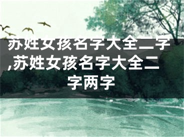 苏姓女孩名字大全二字,苏姓女孩名字大全二字两字
