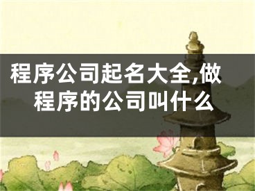 程序公司起名大全,做程序的公司叫什么