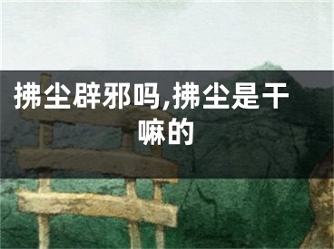 拂尘辟邪吗,拂尘是干嘛的