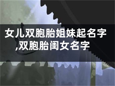 女儿双胞胎姐妹起名字,双胞胎闺女名字