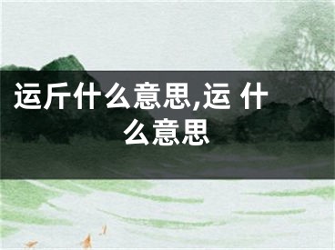 运斤什么意思,运 什么意思