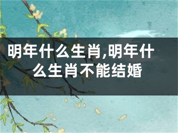 明年什么生肖,明年什么生肖不能结婚
