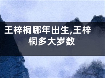 王梓桐哪年出生,王梓桐多大岁数