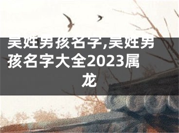 吴姓男孩名字,吴姓男孩名字大全2023属龙