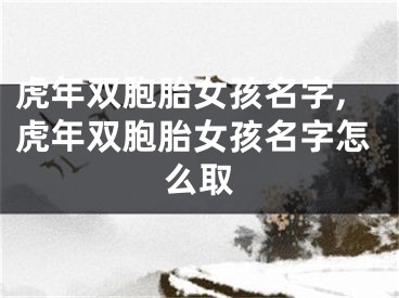 虎年双胞胎女孩名字,虎年双胞胎女孩名字怎么取