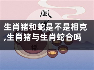 生肖猪和蛇是不是相克,生肖猪与生肖蛇合吗