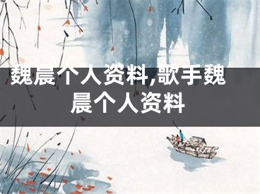 魏晨个人资料,歌手魏晨个人资料