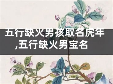 五行缺火男孩取名虎年,五行缺火男宝名
