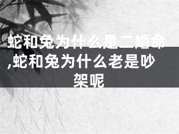 蛇和兔为什么是二婚命,蛇和兔为什么老是吵架呢