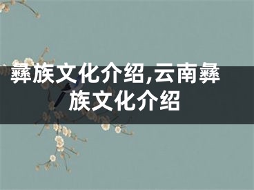 彝族文化介绍,云南彝族文化介绍