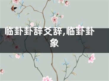 临卦卦辞爻辞,临卦卦象