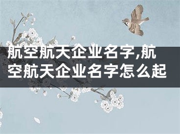 航空航天企业名字,航空航天企业名字怎么起