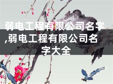 弱电工程有限公司名字,弱电工程有限公司名字大全
