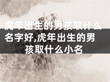 虎年出生的男孩取什么名字好,虎年出生的男孩取什么小名