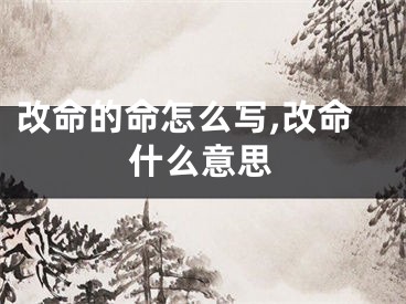 改命的命怎么写,改命什么意思