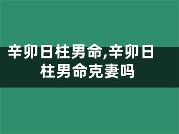 辛卯日柱男命,辛卯日柱男命克妻吗