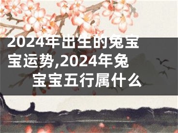 2024年出生的兔宝宝运势,2024年兔宝宝五行属什么