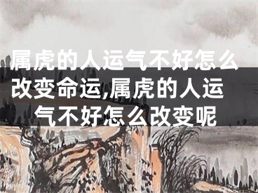 属虎的人运气不好怎么改变命运,属虎的人运气不好怎么改变呢