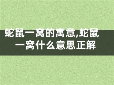蛇鼠一窝的寓意,蛇鼠一窝什么意思正解