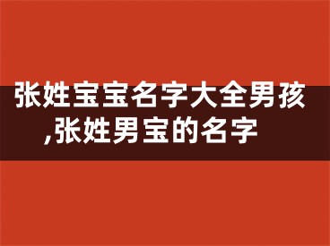 张姓宝宝名字大全男孩,张姓男宝的名字