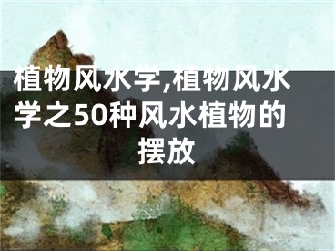 植物风水学,植物风水学之50种风水植物的摆放