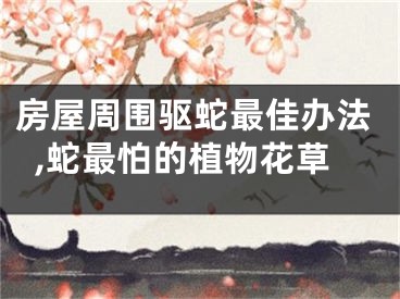 房屋周围驱蛇最佳办法,蛇最怕的植物花草