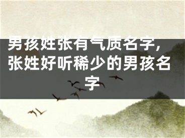 男孩姓张有气质名字,张姓好听稀少的男孩名字