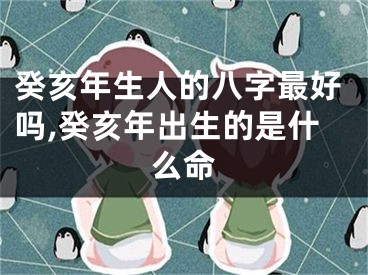 癸亥年生人的八字最好吗,癸亥年出生的是什么命