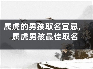 属虎的男孩取名宜忌,属虎男孩最佳取名