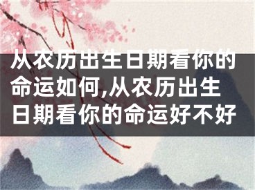 从农历出生日期看你的命运如何,从农历出生日期看你的命运好不好