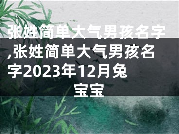 张姓简单大气男孩名字,张姓简单大气男孩名字2023年12月兔宝宝