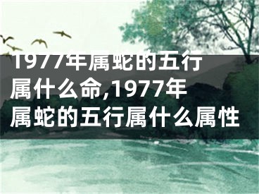 1977年属蛇的五行属什么命,1977年属蛇的五行属什么属性