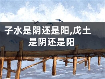 子水是阴还是阳,戊土是阴还是阳