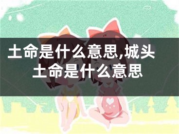 土命是什么意思,城头土命是什么意思