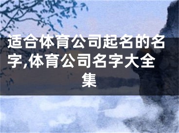 适合体育公司起名的名字,体育公司名字大全集