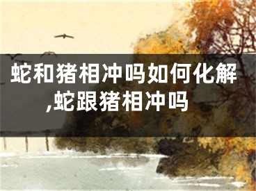 蛇和猪相冲吗如何化解,蛇跟猪相冲吗