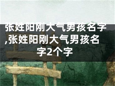 张姓阳刚大气男孩名字,张姓阳刚大气男孩名字2个字
