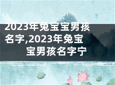 2023年兔宝宝男孩名字,2023年兔宝宝男孩名字宁