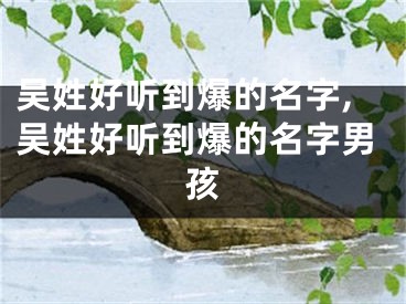 吴姓好听到爆的名字,吴姓好听到爆的名字男孩