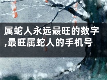 属蛇人永远最旺的数字,最旺属蛇人的手机号