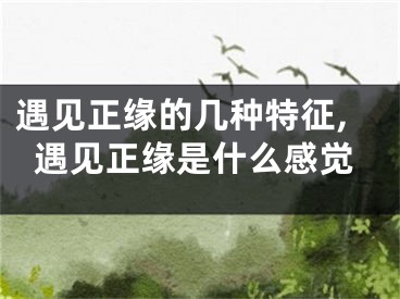 遇见正缘的几种特征,遇见正缘是什么感觉