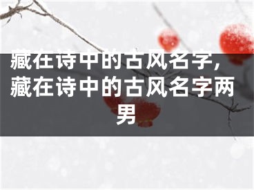 藏在诗中的古风名字,藏在诗中的古风名字两男