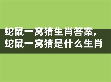 蛇鼠一窝猜生肖答案,蛇鼠一窝猜是什么生肖