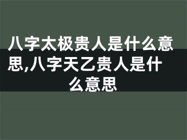 八字太极贵人是什么意思,八字天乙贵人是什么意思