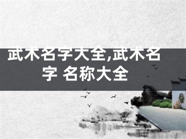 武术名字大全,武术名字 名称大全