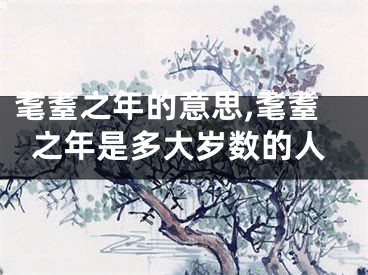 耄耋之年的意思,耄耋之年是多大岁数的人