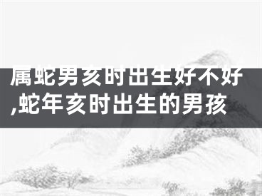 属蛇男亥时出生好不好,蛇年亥时出生的男孩
